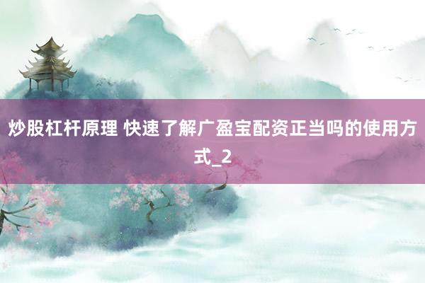 炒股杠杆原理 快速了解广盈宝配资正当吗的使用方式_2