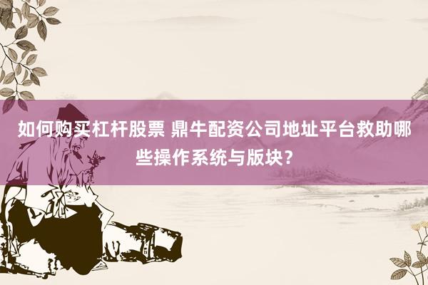 如何购买杠杆股票 鼎牛配资公司地址平台救助哪些操作系统与版块?